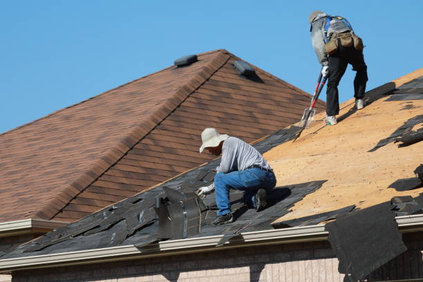 Best Asphalt Shingle Roofing  in Hailey, ID